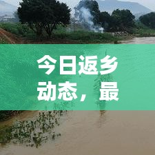 今日返乡动态,最新消息查询汇总