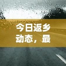 今日返乡动态,最新消息查询汇总