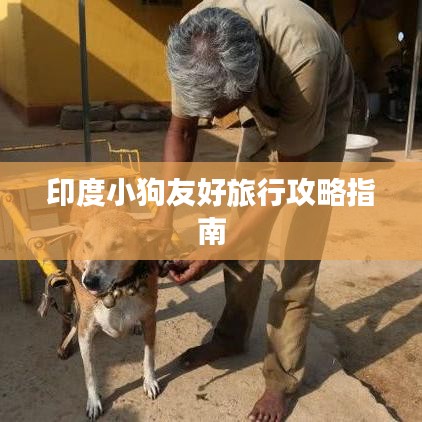印度小狗友好旅行攻略指南