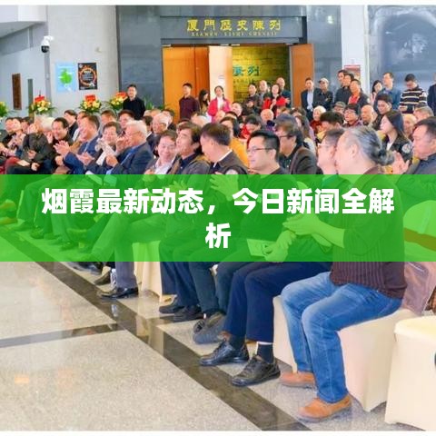 烟霞最新动态，今日新闻全解析