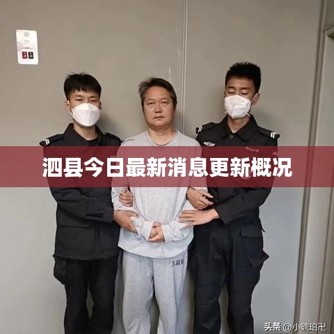 泗县今日最新消息更新概况