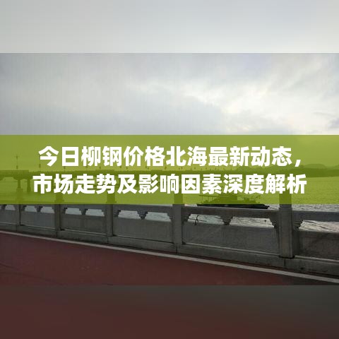 今日柳钢价格北海最新动态，市场走势及影响因素深度解析