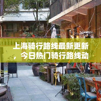 上海骑行路线最新更新，今日热门骑行路线动态一网打尽