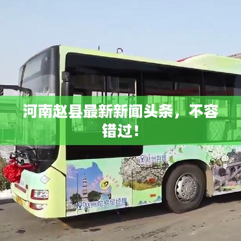 河南赵县最新新闻头条,不容错过!