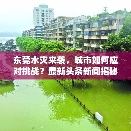 东莞水灾来袭，城市如何应对挑战？最新头条新闻揭秘