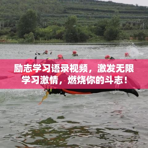 励志学习语录视频,激发无限学习激情,燃烧你的斗志!