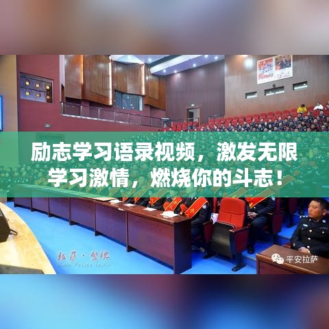 励志学习语录视频,激发无限学习激情,燃烧你的斗志!