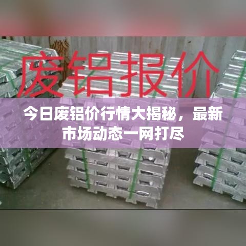 今日废铝价行情大揭秘，最新市场动态一网打尽