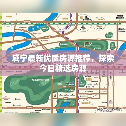 新闻动态 第140页