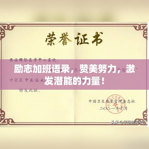 励志加班语录,赞美努力,激发潜能的力量!