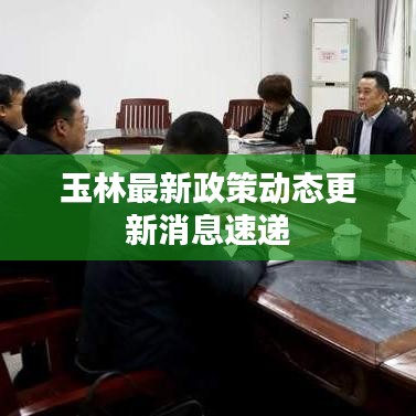玉林最新政策动态更新消息速递