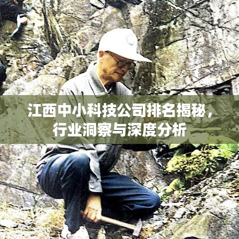 江西中小科技公司排名揭秘，行业洞察与深度分析