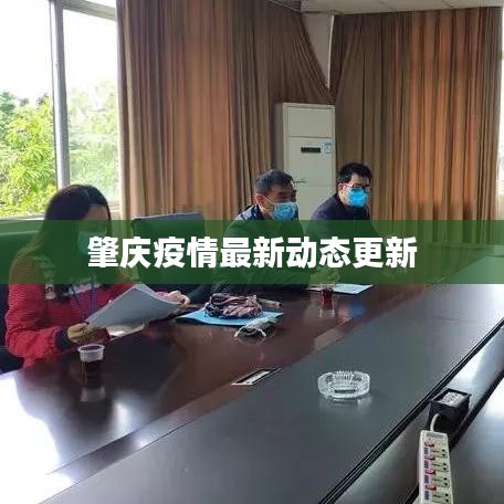 肇庆疫情最新动态更新