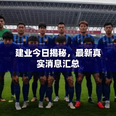 建业今日揭秘,最新真实消息汇总