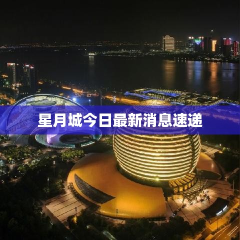 星月城今日最新消息速递