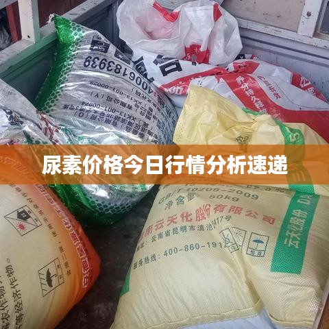 尿素价格今日行情分析速递
