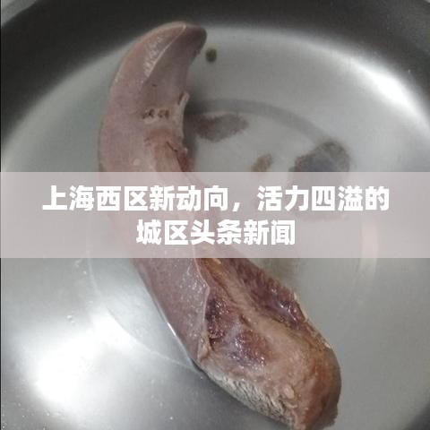 随方就圆 第3页