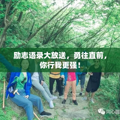 励志语录大放送,勇往直前,你行我更强!