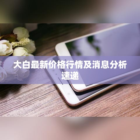 大白最新价格行情及消息分析速递