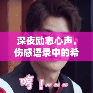 深夜励志心声,伤感语录中的希望短句