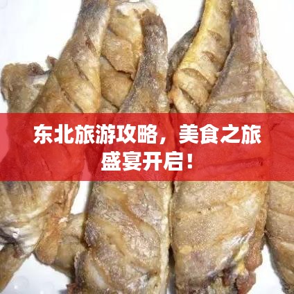 东北旅游攻略，美食之旅盛宴开启！