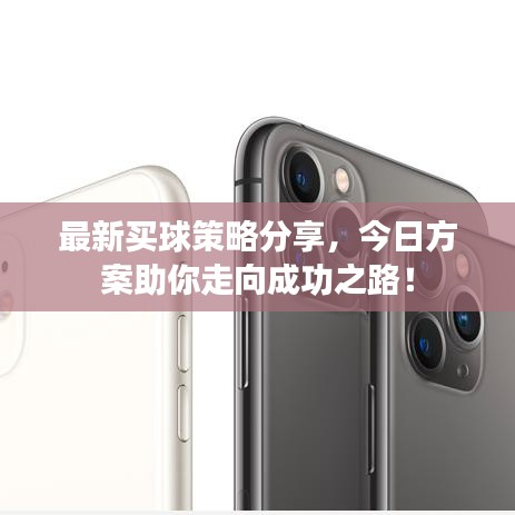 最新买球策略分享，今日方案助你走向成功之路！