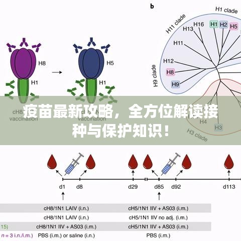 疫苗最新攻略，全方位解读接种与保护知识！