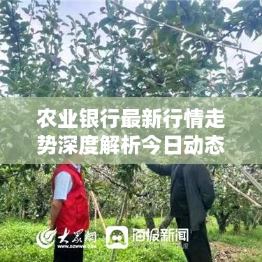 农业银行最新行情走势深度解析今日动态