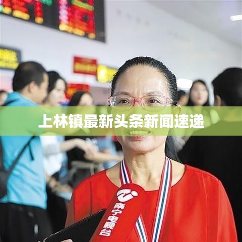 上林镇最新头条新闻速递