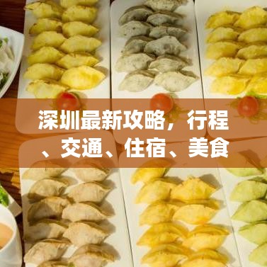 深圳最新攻略,行程、交通、住宿、美食一网全览