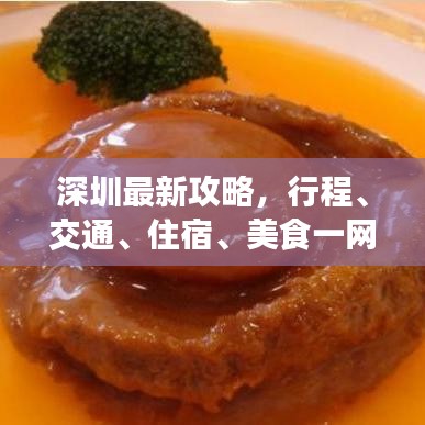 深圳最新攻略,行程、交通、住宿、美食一网全览