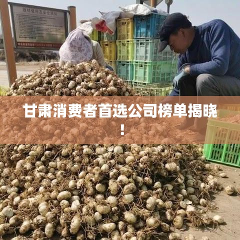 甘肃消费者首选公司榜单揭晓！