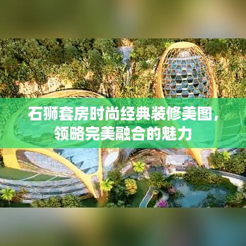 石狮套房时尚经典装修美图，领略完美融合的魅力
