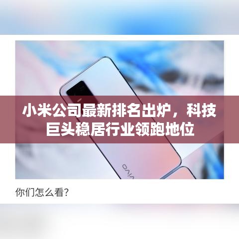 小米公司最新排名出炉,科技巨头稳居行业领跑地位