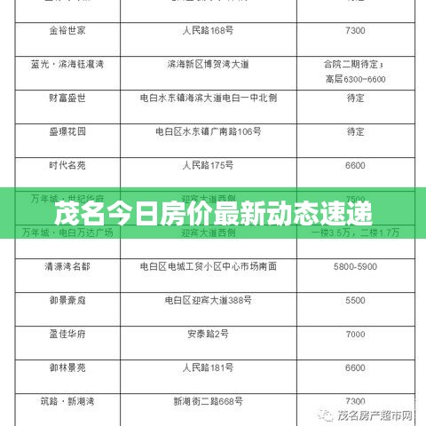 茂名今日房价最新动态速递