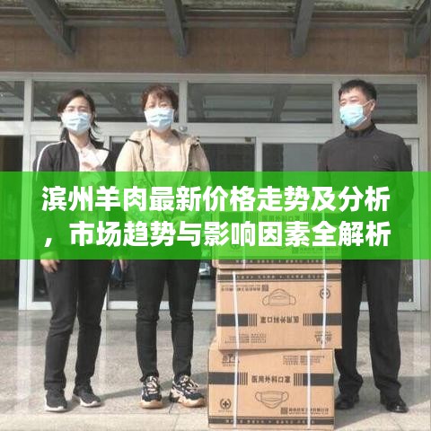 滨州羊肉最新价格走势及分析,市场趋势与影响因素全解析