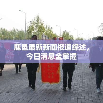 鹿邑最新新闻报道综述，今日消息全掌握
