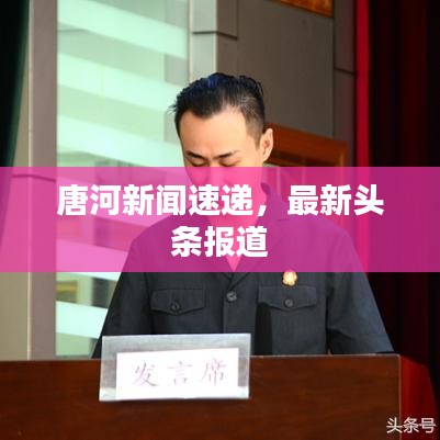唐河新闻速递,最新头条报道