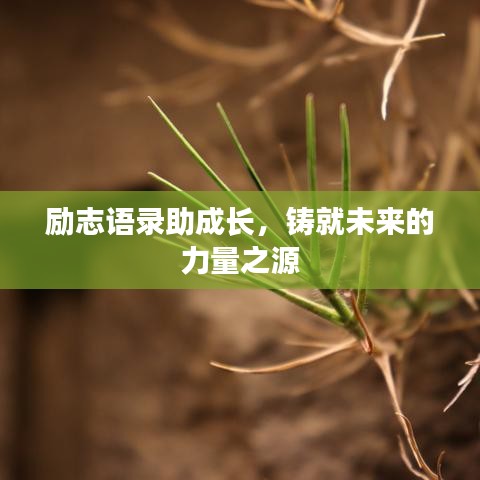 励志语录助成长，铸就未来的力量之源