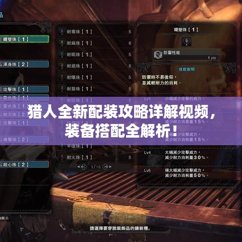 猎人全新配装攻略详解视频,装备搭配全解析!