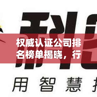 权威认证公司排名榜单揭晓，行业领导者一览无余！