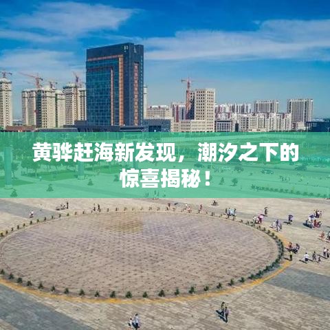 行疾如飞 第4页