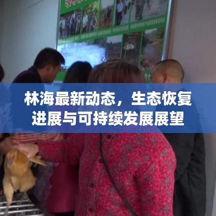 林海最新动态,生态恢复进展与可持续发展展望