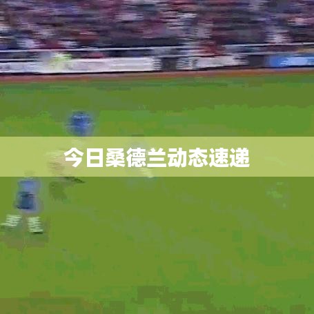 三人成虎 第3页