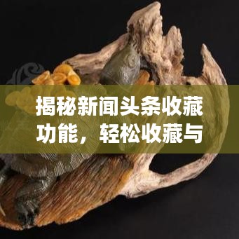 揭秘新闻头条收藏功能,轻松收藏与查找你的新闻关注点秘籍!