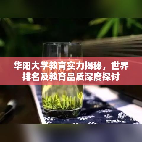 华阳大学教育实力揭秘，世界排名及教育品质深度探讨