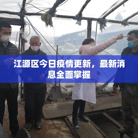 江源区今日疫情更新，最新消息全面掌握