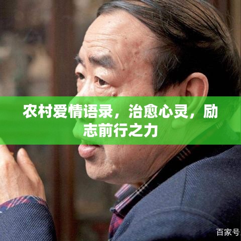 农村爱情语录,治愈心灵,励志前行之力