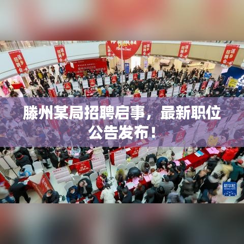 滕州某局招聘启事，最新职位公告发布！