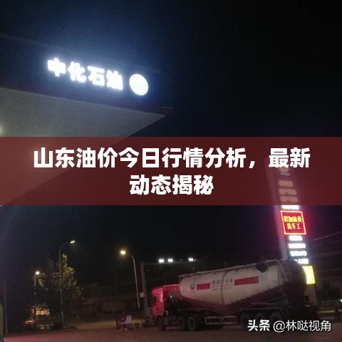 山东油价今日行情分析，最新动态揭秘